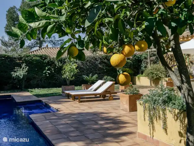 Location de Vacances Espagne, Costa Brava, Navata, villa - Villa Maria Torre Mirona Resort Ambiance méditerranéenne