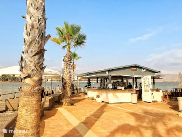 Penthouse en bord de mer avec jacuzzi | Espagne, Costa Cálida, Bolnuevo - penthouse Bar dans le port de Puerto de mazzaron