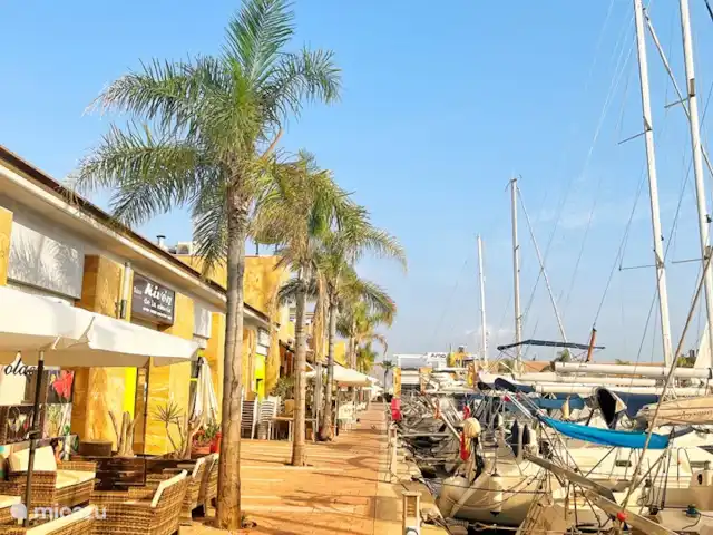 Penthouse en bord de mer avec jacuzzi | Espagne, Costa Cálida, Bolnuevo - penthouse Port de Mazzarón,