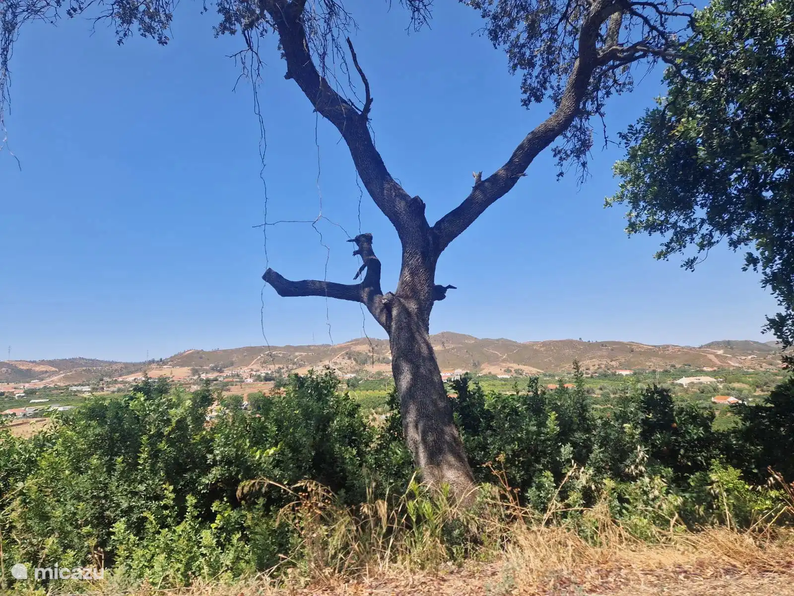 Mooi uitzicht onderweg