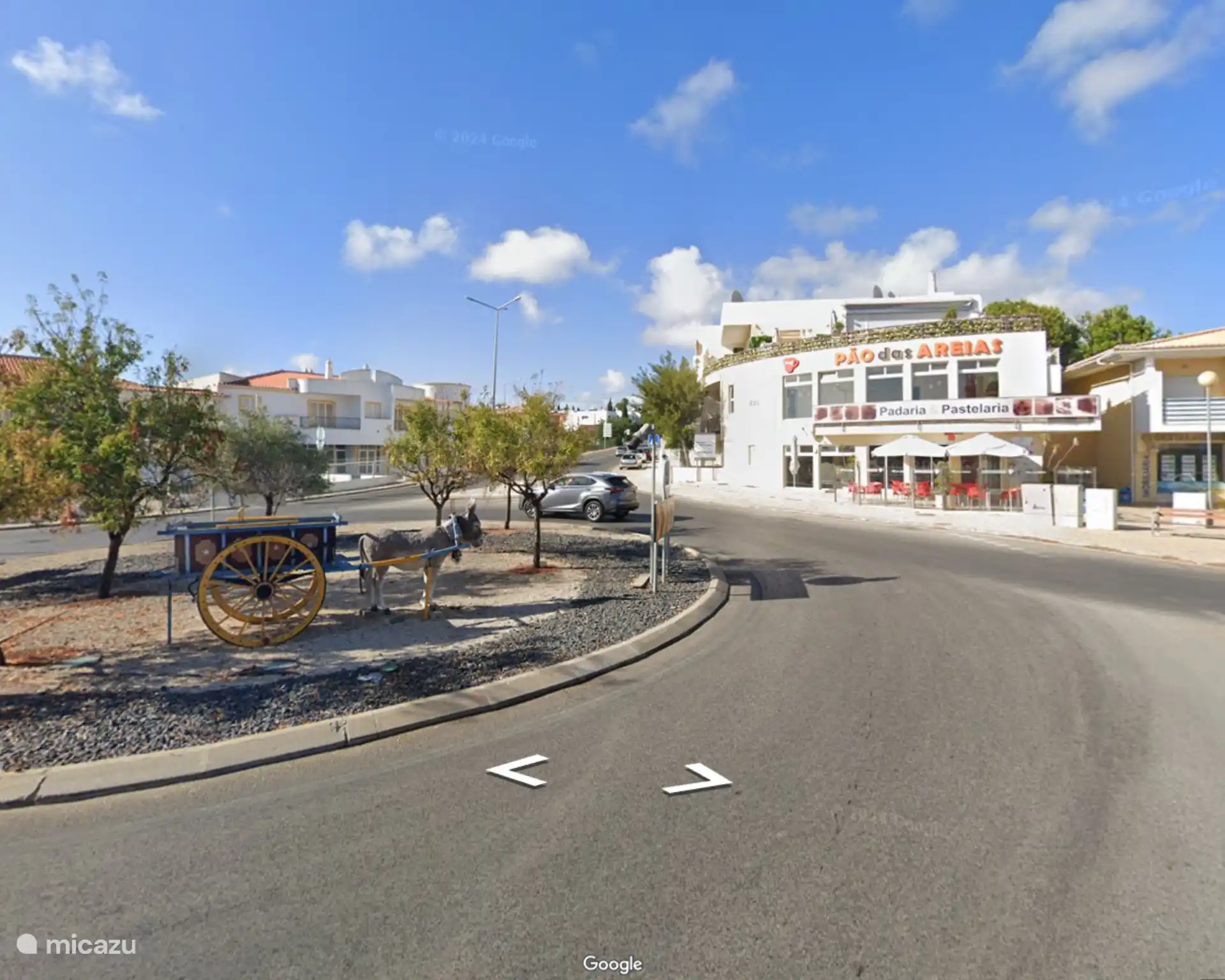 Herkenningspunt, de rotonde met de ezel