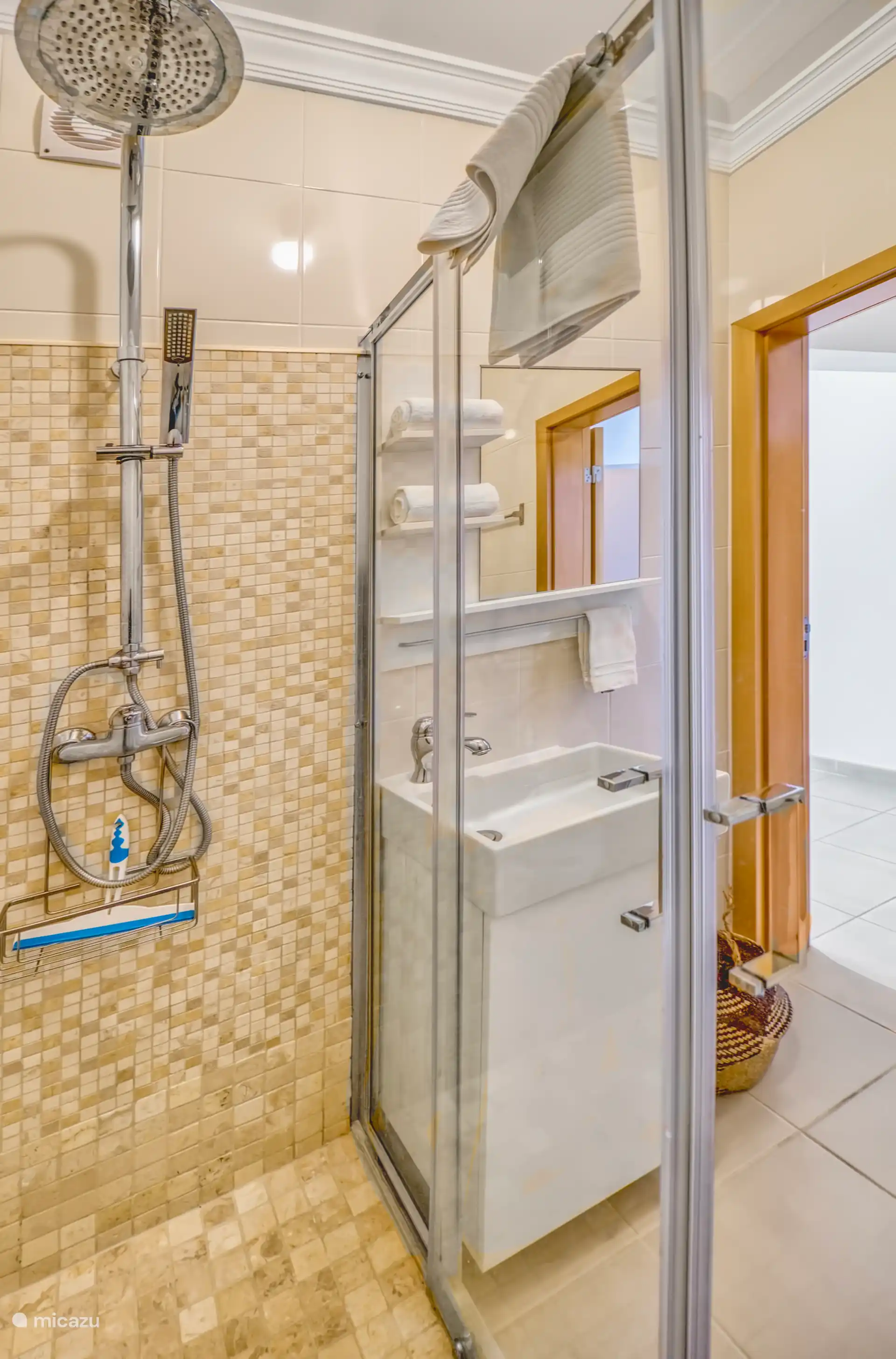 Gasten badkamer, douche, wastafel en toilet