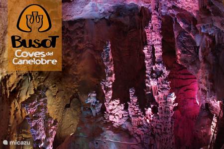 Grottes : Cuevas del Canelobre