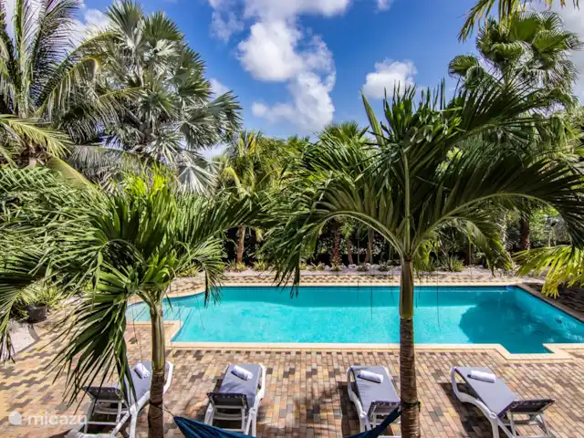 Hôtel Curaçao Camilla | Curaçao, Banda Ariba (est), Jan Thiel - appartement Jardin