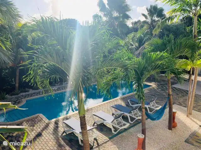 Hôtel Curaçao Camilla | Curaçao, Banda Ariba (est), Jan Thiel - appartement La piscine