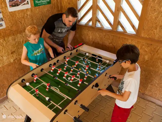 Location de Vacances France, Dordogne, Biron, chalet - Castelwood