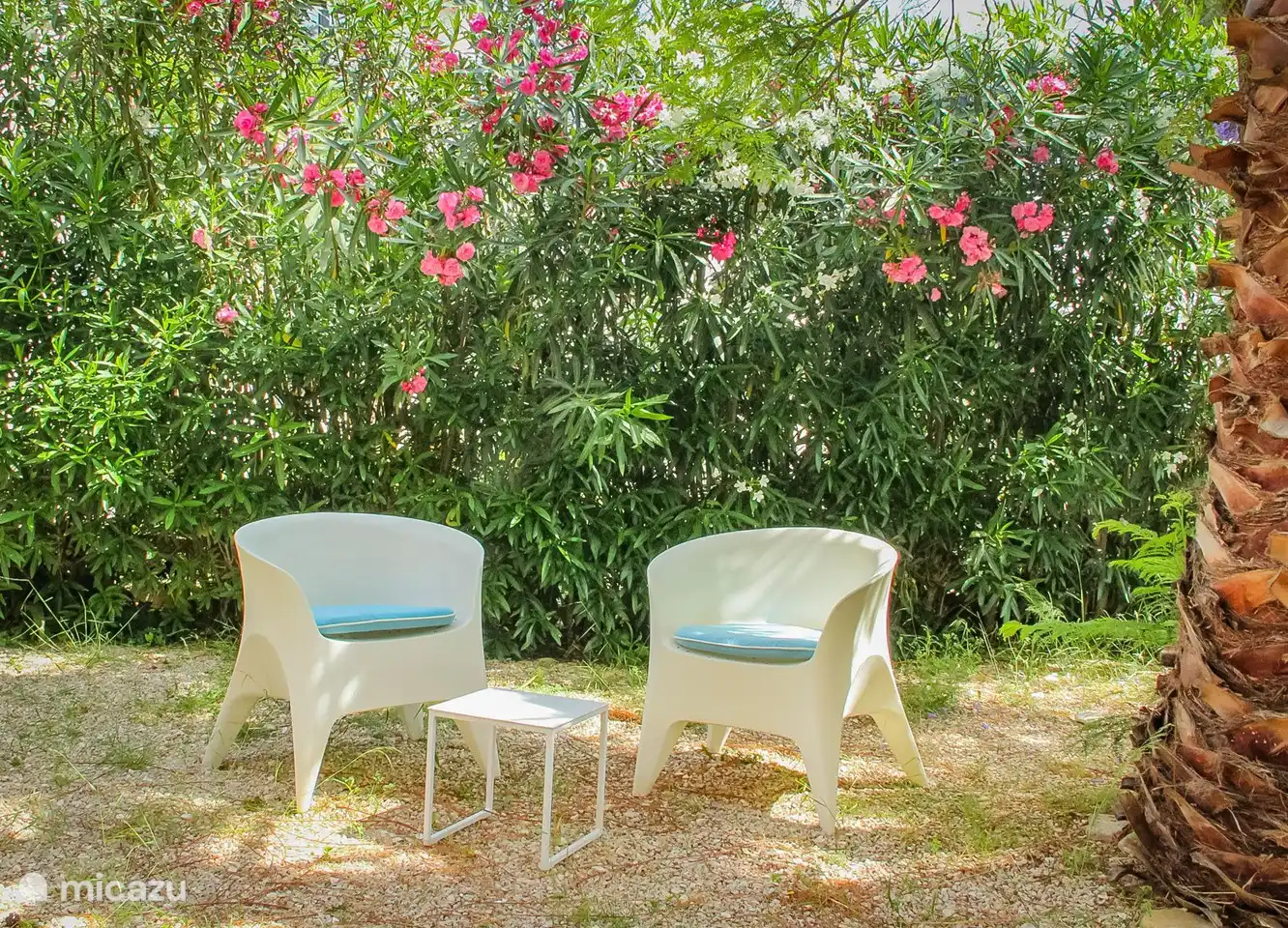 Siège dans le jardin.