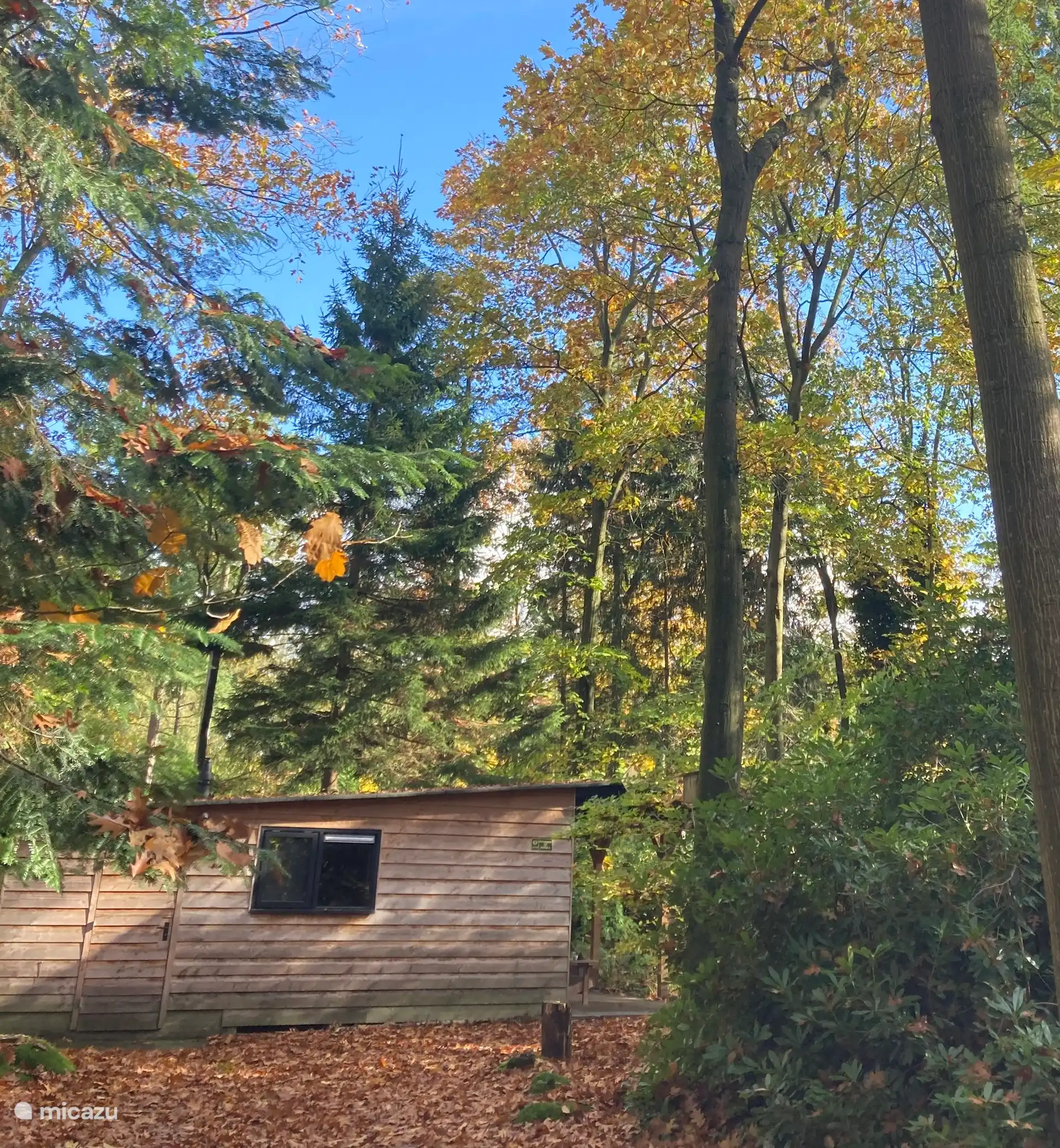 Opgaan in de omgeving....