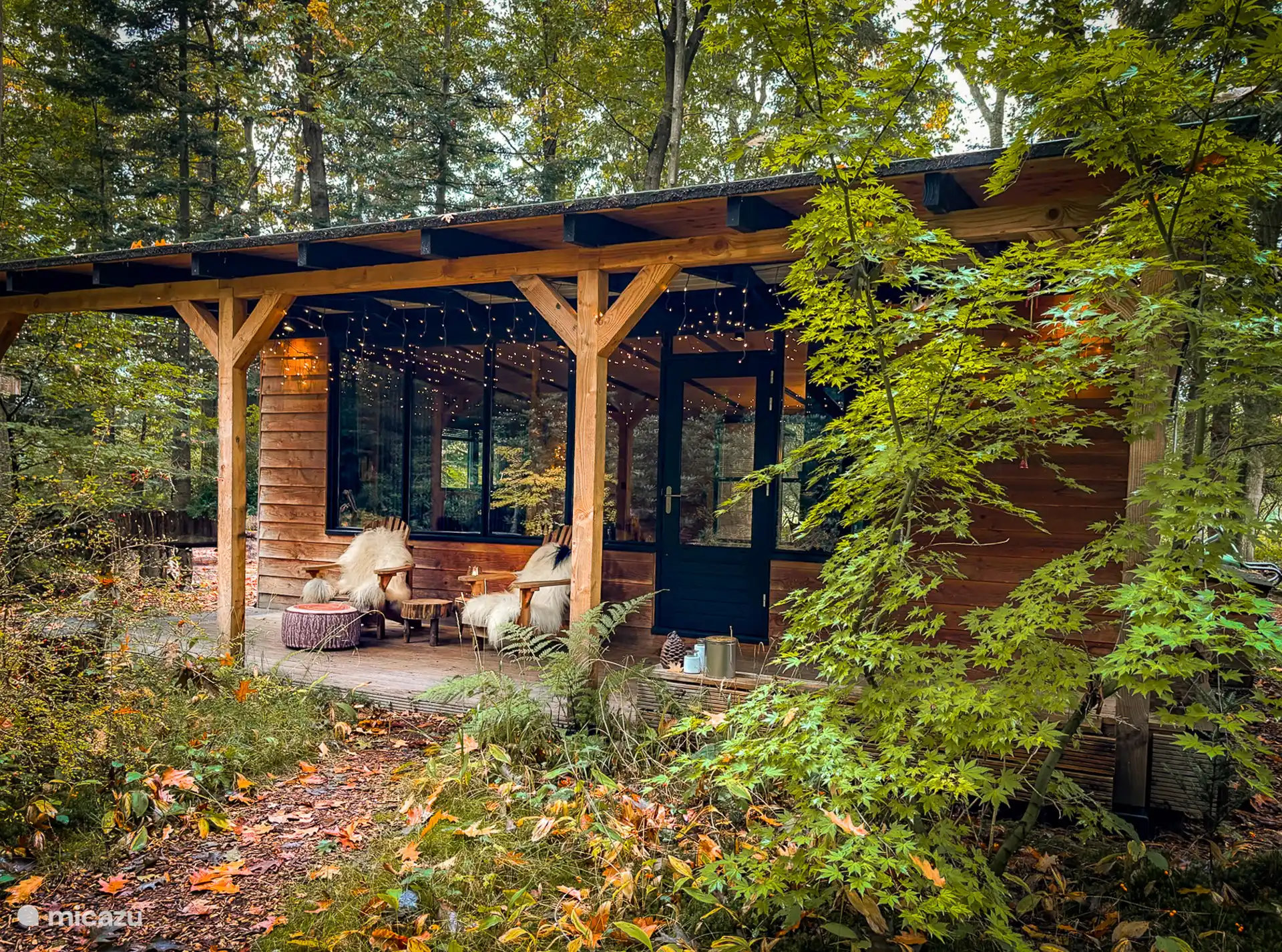 studio huren in Lieren, Gelderland, Nederland - Bonte Vliegenvanger