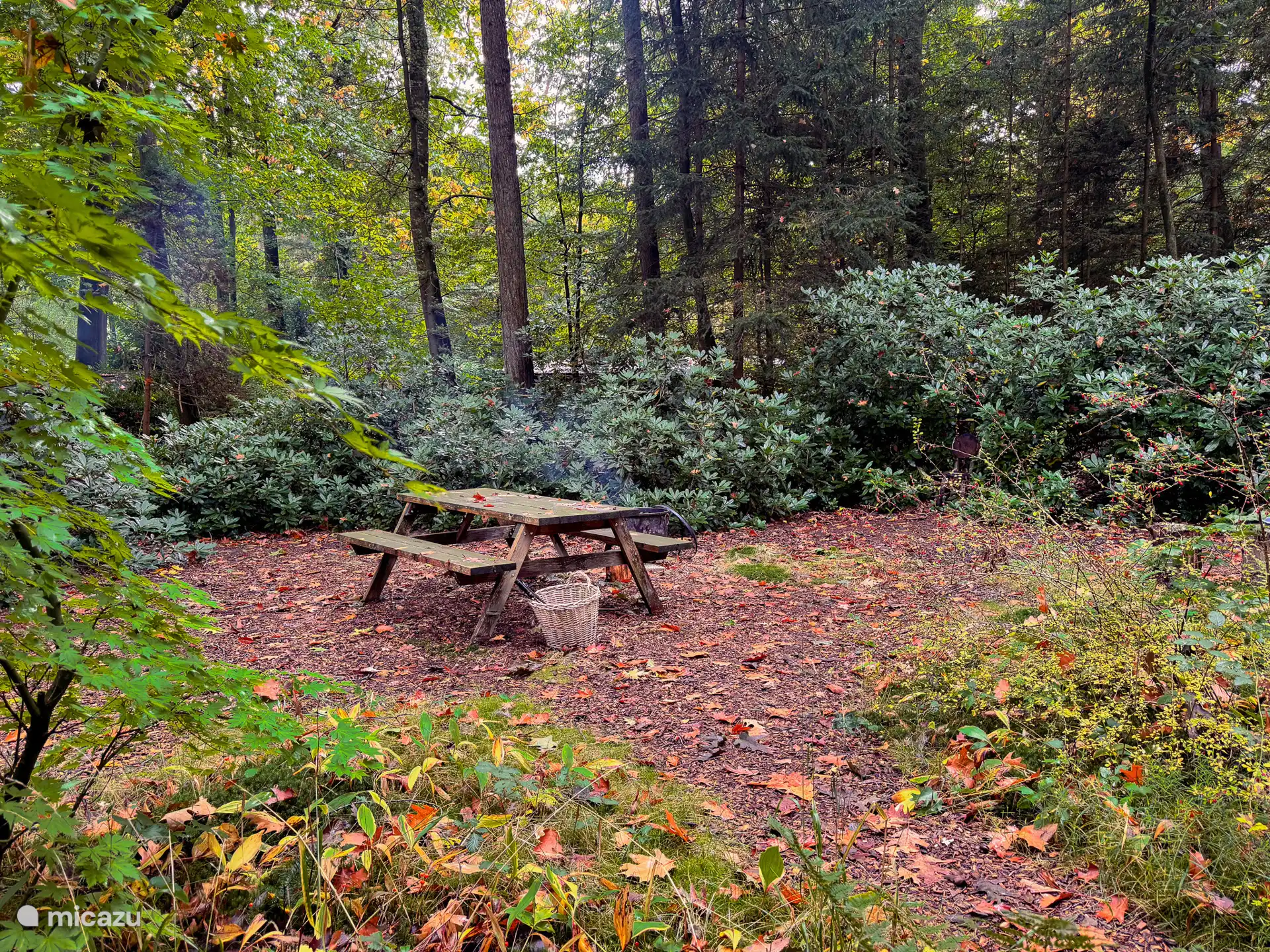 Hoe groen wil je het hebben? Veel ruimte en privacy op perceel van 1500m2, grote picknicktafel.