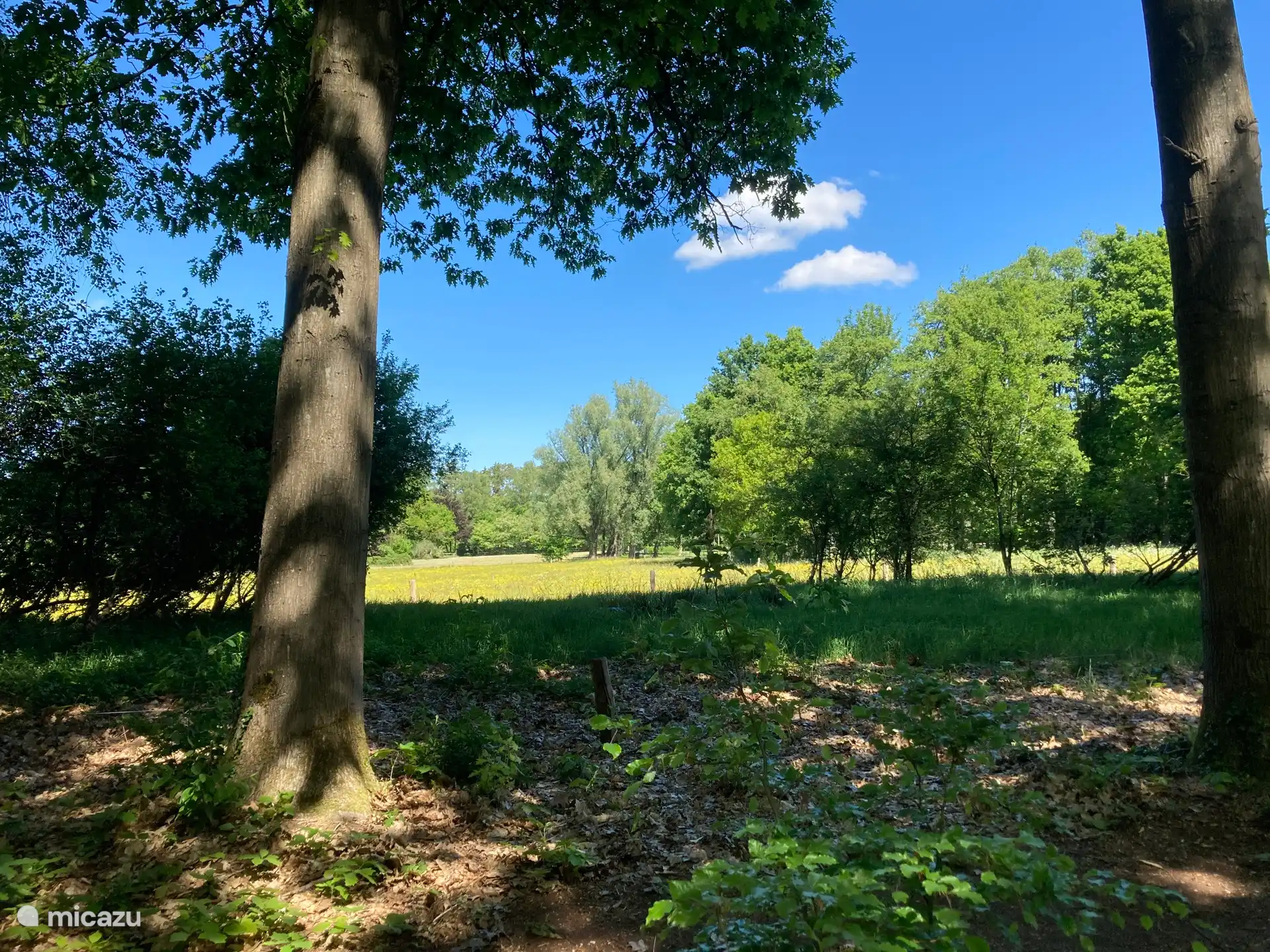 Uitzicht naar achterzijde