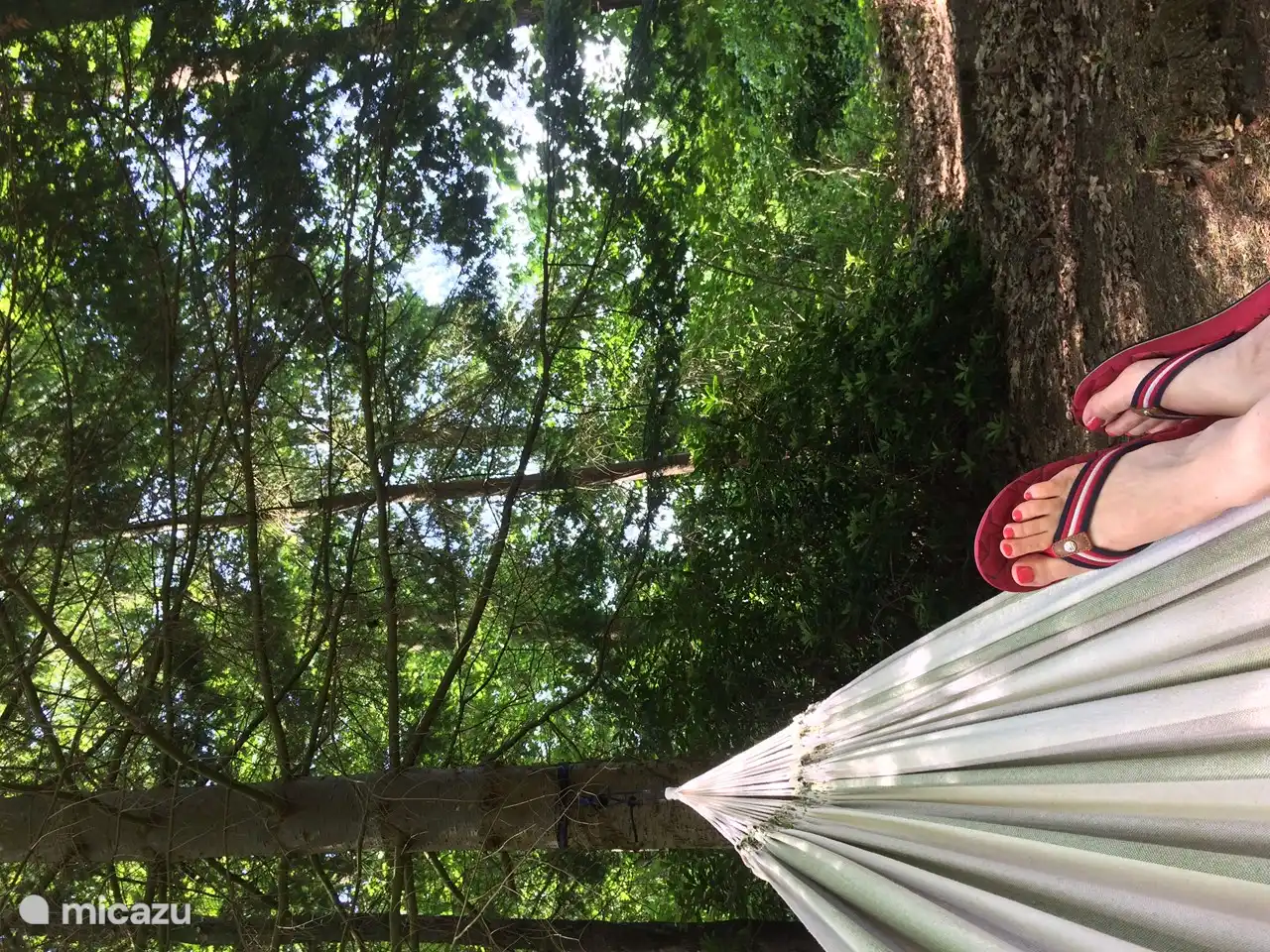 Beter wordt het niet, luieren in de hangmat met kwetterende eekhoorns of vogels boven je hoofd