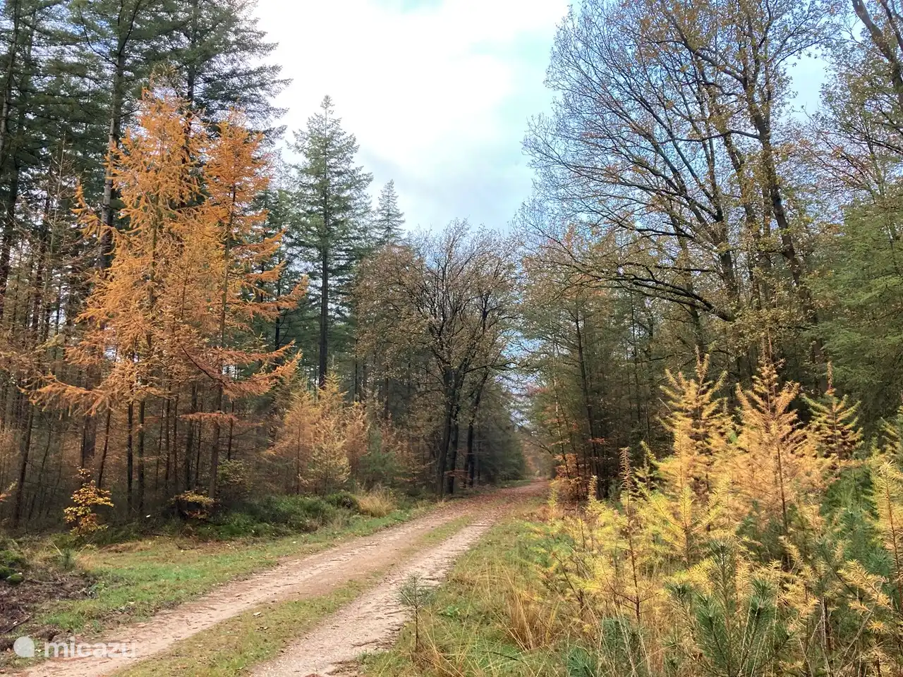 Een verfrissende wandeling door de omliggende bossen.