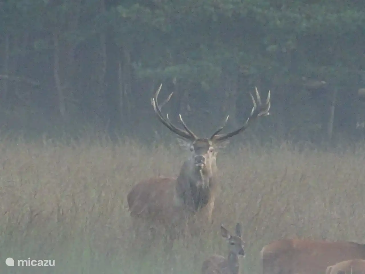 ontmoetingen in Kroondomein het Loo
