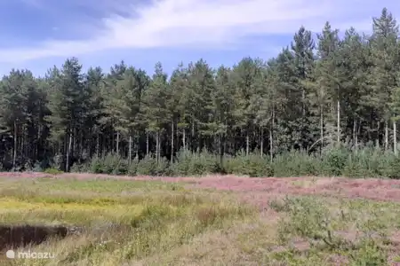 Consejos para salidas por la zona