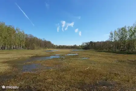 Consejos para salidas por la zona