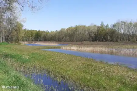 Consejos para salidas por la zona