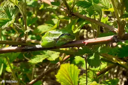 Consejos para salidas por la zona