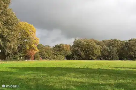 Consejos para salidas por la zona