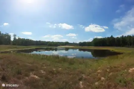 Consejos para salidas por la zona