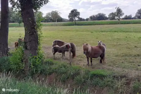 Consejos para salidas por la zona