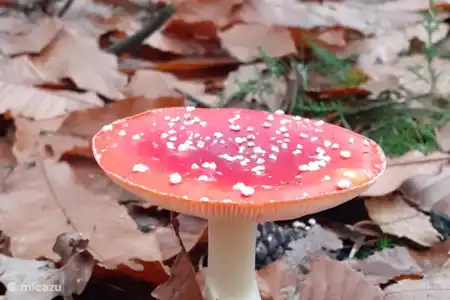 Consejos para salidas por la zona