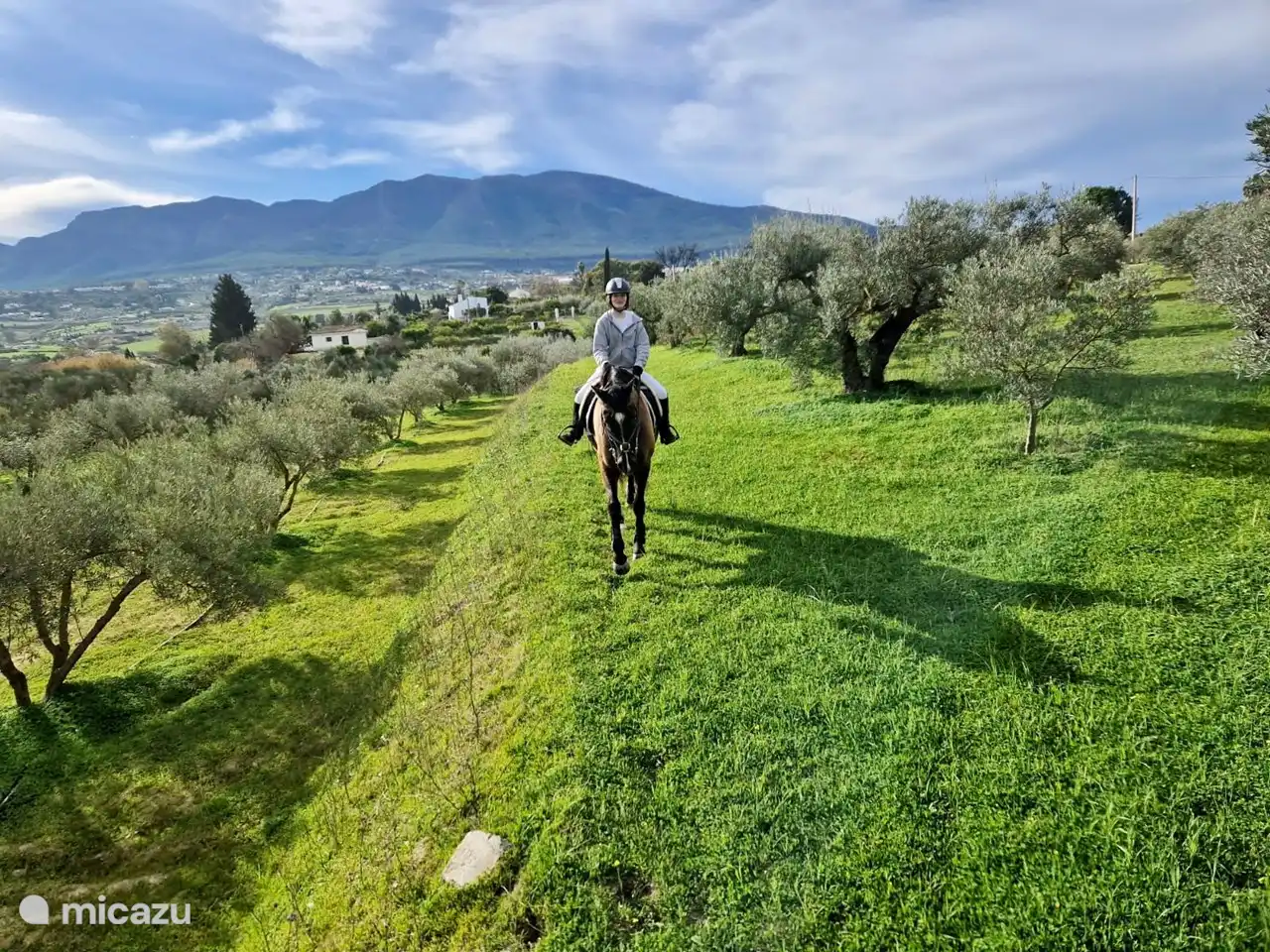 Mogelijkheid om de regio te verkennen met paard