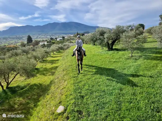 Penthouse Las Brisas | Espagne, Costa del Sol, Alhaurin golf - penthouse Possibilité de découvrir la région à cheval