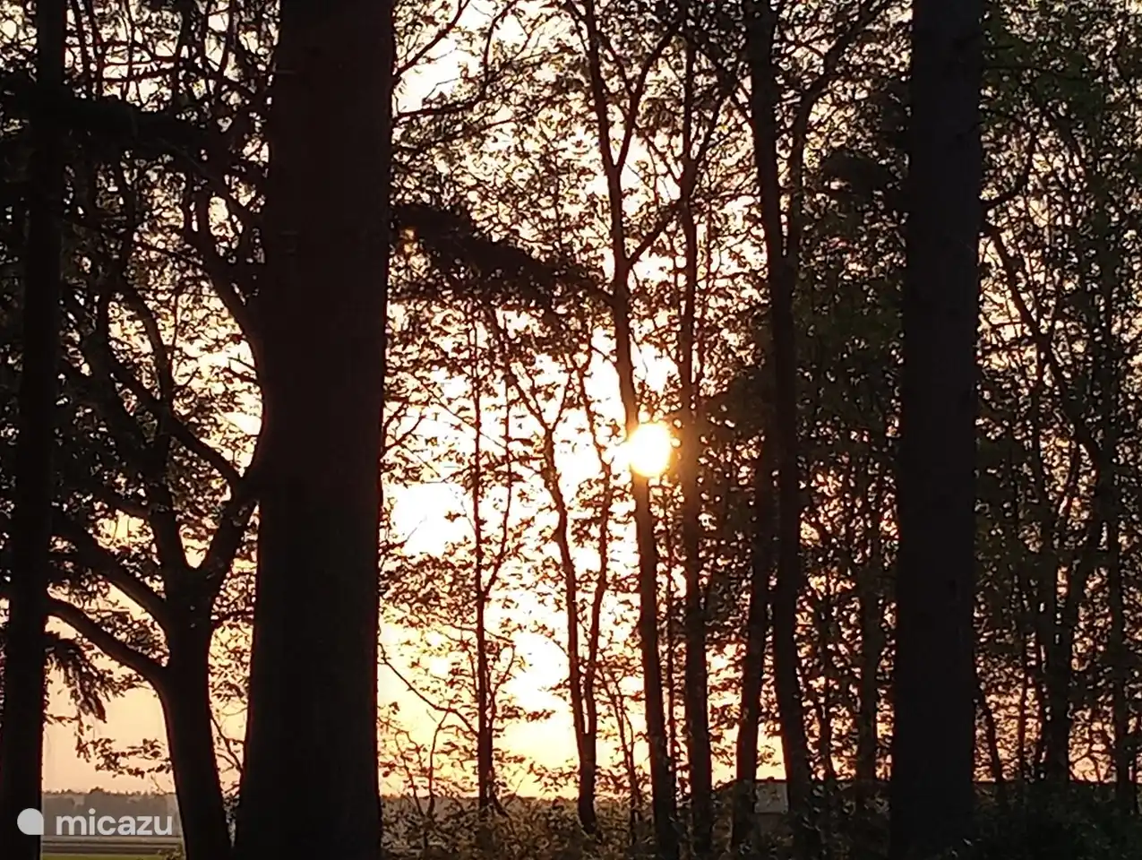 Sonnenuntergang von der Veranda