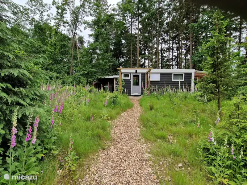 Huis ten Bos | Pays-Bas, Drenthe, Eeserveen - Maison de vacances Huis ten Bos | Pays-Bas, Drenthe, Eeserveen - Maison de vacances