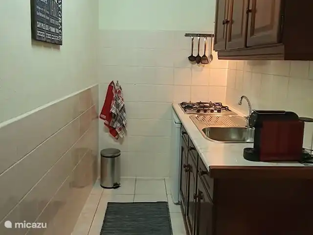 Quinta Flores - appartement Camélia | Portugal, Santarém, Ferreira do Zêzere - appartement Cuisine camélia