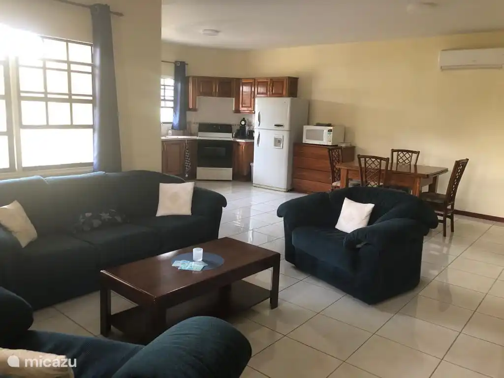 Spacious and open living room and kitchen