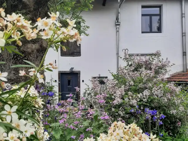 L'écurie | Pays-Bas, Limbourg, Kerkrade - maison mitoyenne Le gîte vu de la terrasse derrière