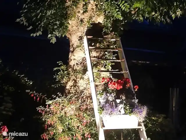 L'écurie | Pays-Bas, Limbourg, Kerkrade - maison mitoyenne Le jardin est illuminé la nuit tombée.