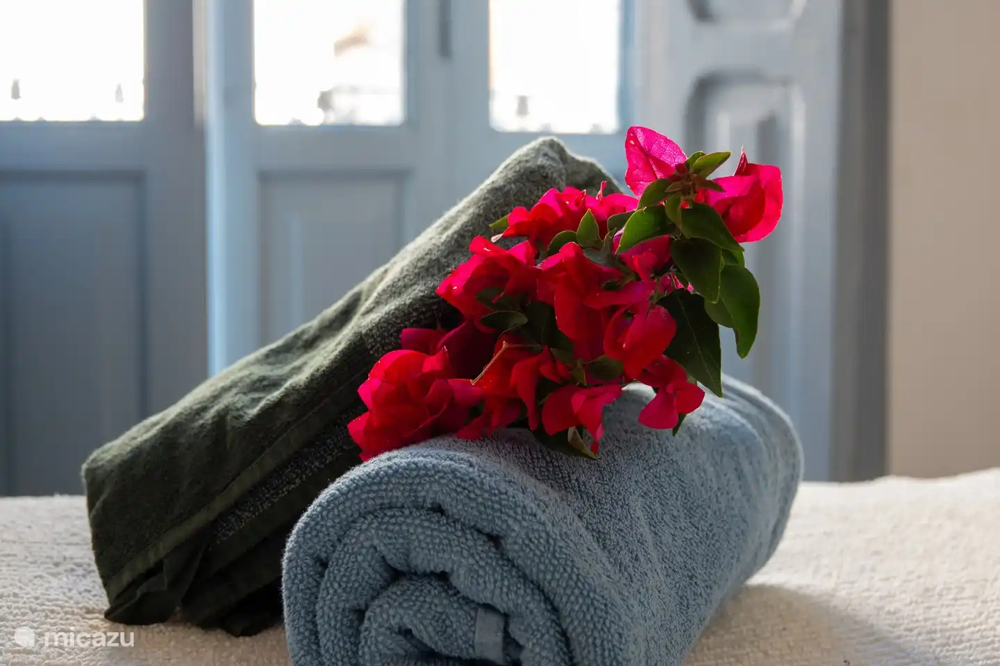 Unsere wunderschönen Bougainvillae bringen so viele wunderschöne Blumen hervor. Sie sehen auf dem Foto so schön aus. Es könnte leicht unser Logo sein!