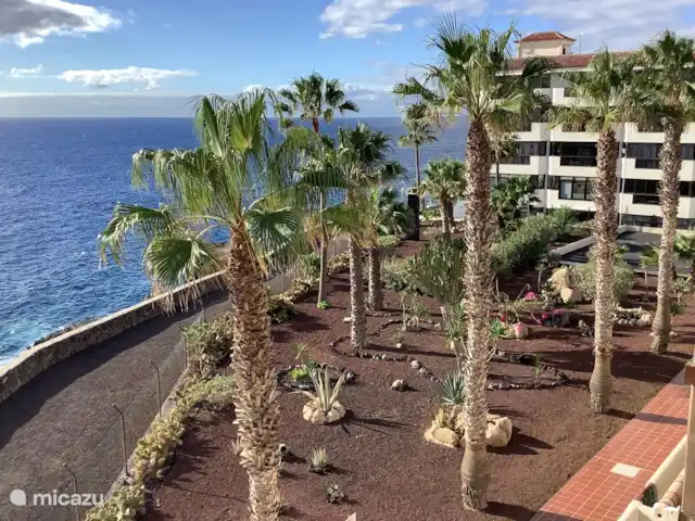 appartement huren in Spanje, Tenerife, Costa del Silencio – Balcon del Mar Balcon del Mar vanaf de promenade
