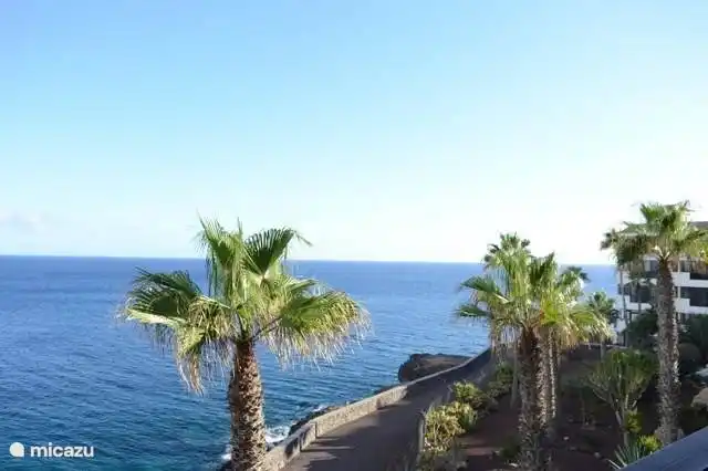 Balcon del Mar in Spanien, Teneriffa, Costa del Silencio - Appartement