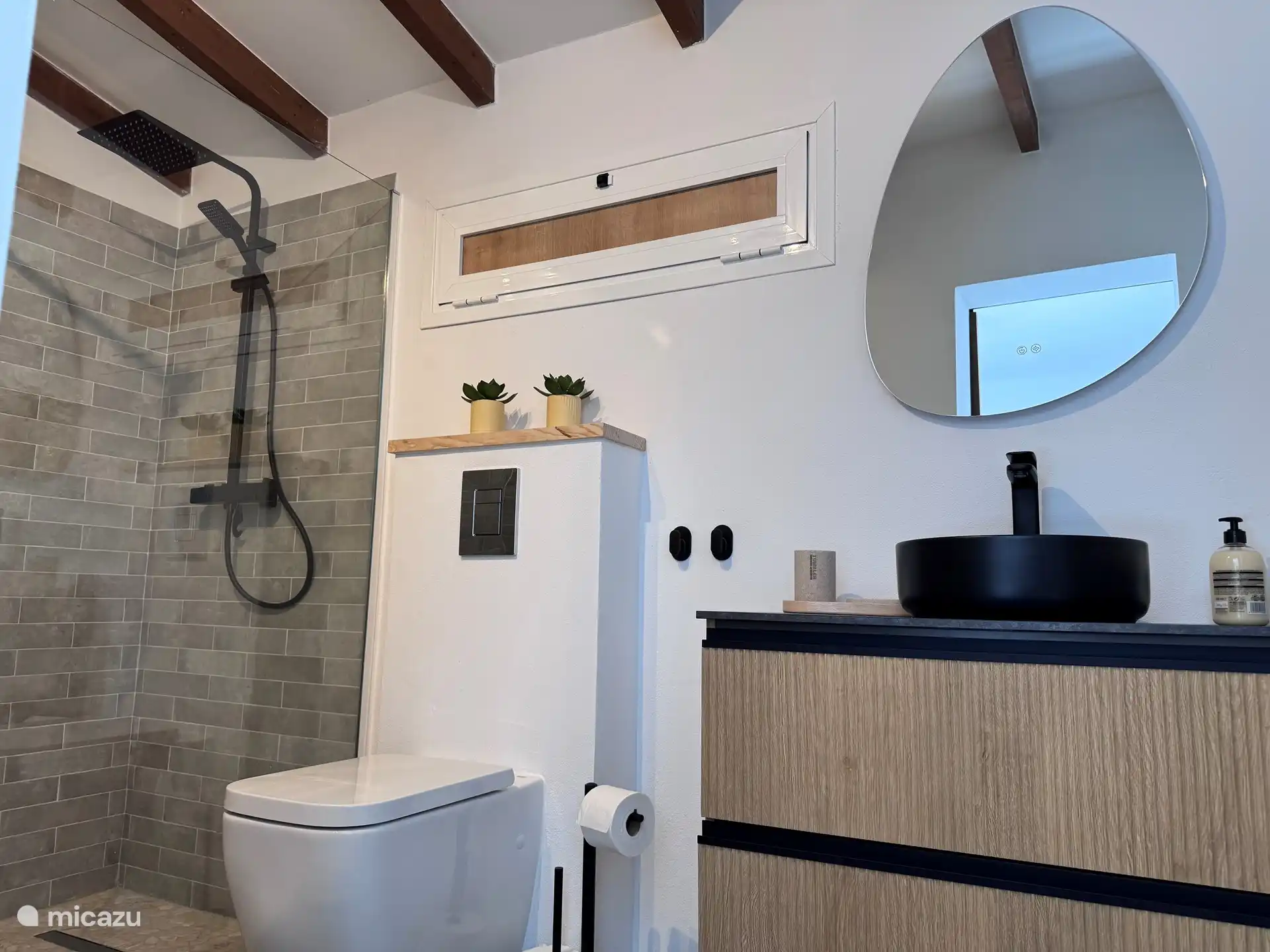 Badkamer (wasbak, douche en WC)