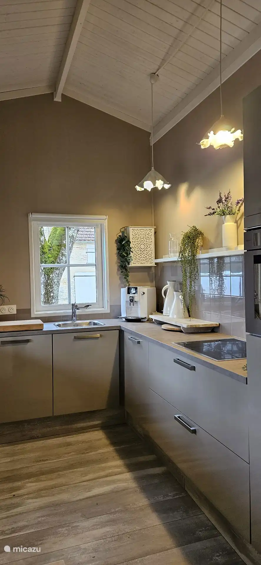 La cocina con nevera, horno, placa de inducción y lavavajillas 