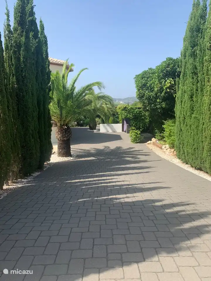 Viele Parkplätze vor Ort, im Schatten der Pergola