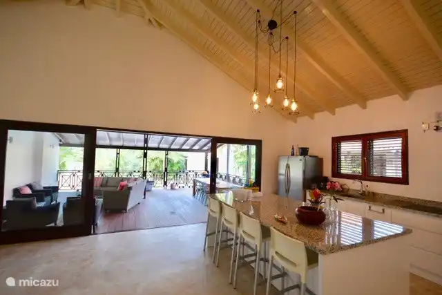 Fully equipped kitchen with American fridge, dishwasher, oven, microwave etc.