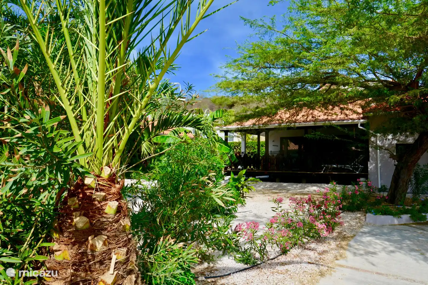The tropical garden surrounding the Boutique Beach Villa