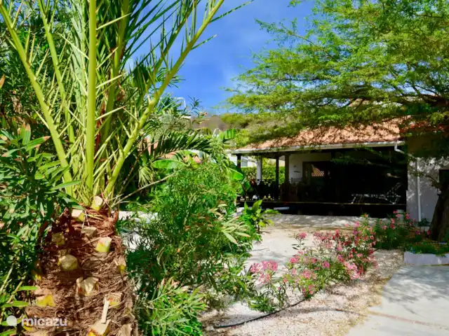 Boutique Blue Bay Beach Villa #1a en Curazao, Curazao Centro, Blue Bay - villa El jardín tropical que rodea la Boutique Beach Villa