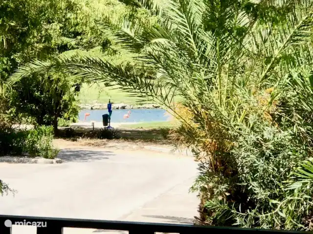 Boutique Blue Bay Beach Villa #1a en Curazao, Curazao Centro, Blue Bay - villa el lago de los flamencos