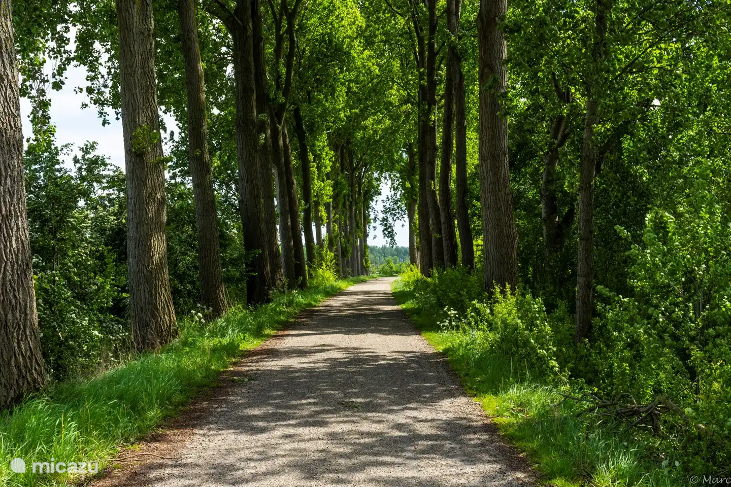 Radwege für unsere sportlichen Gäste