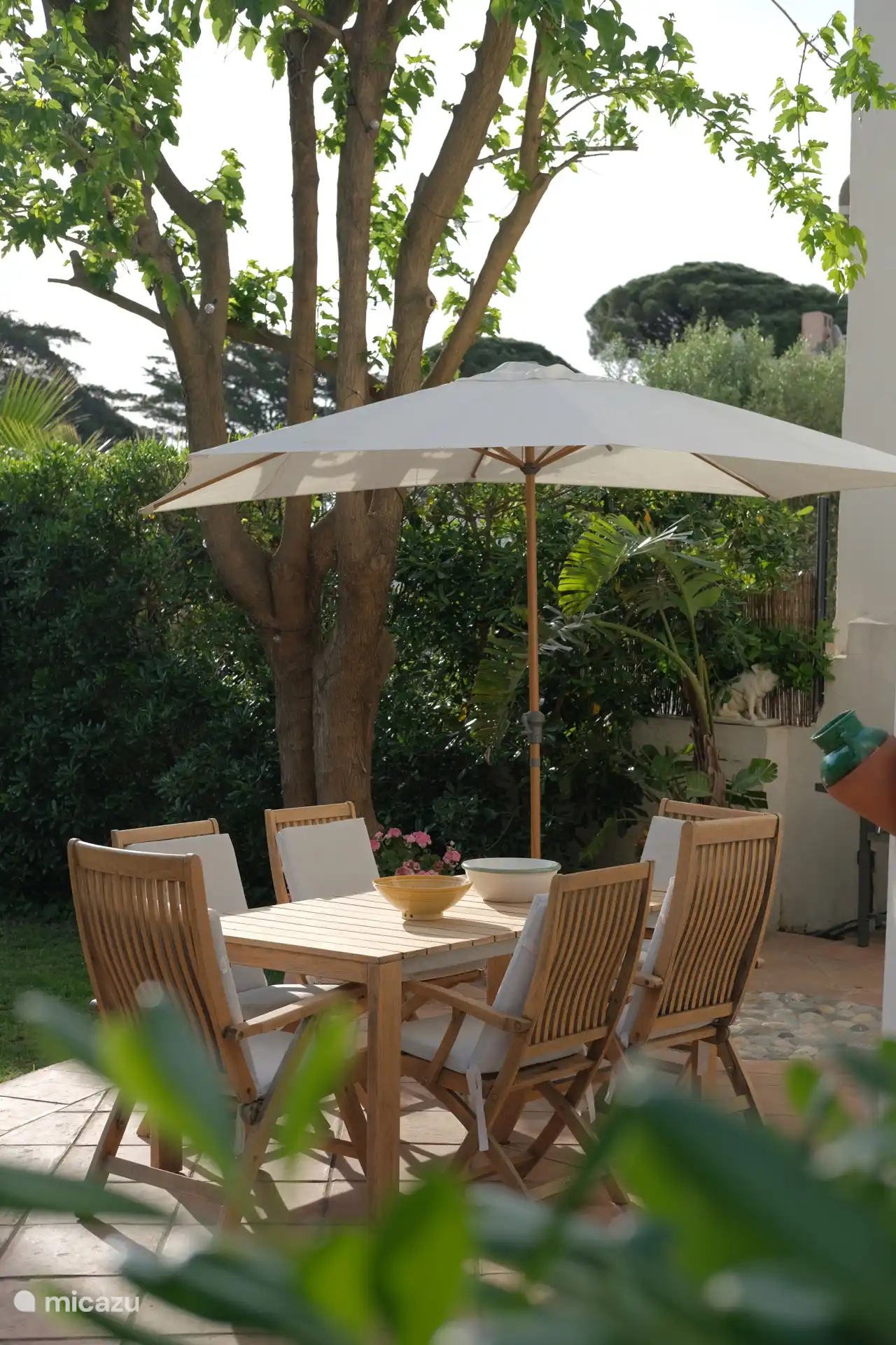 terrace 
