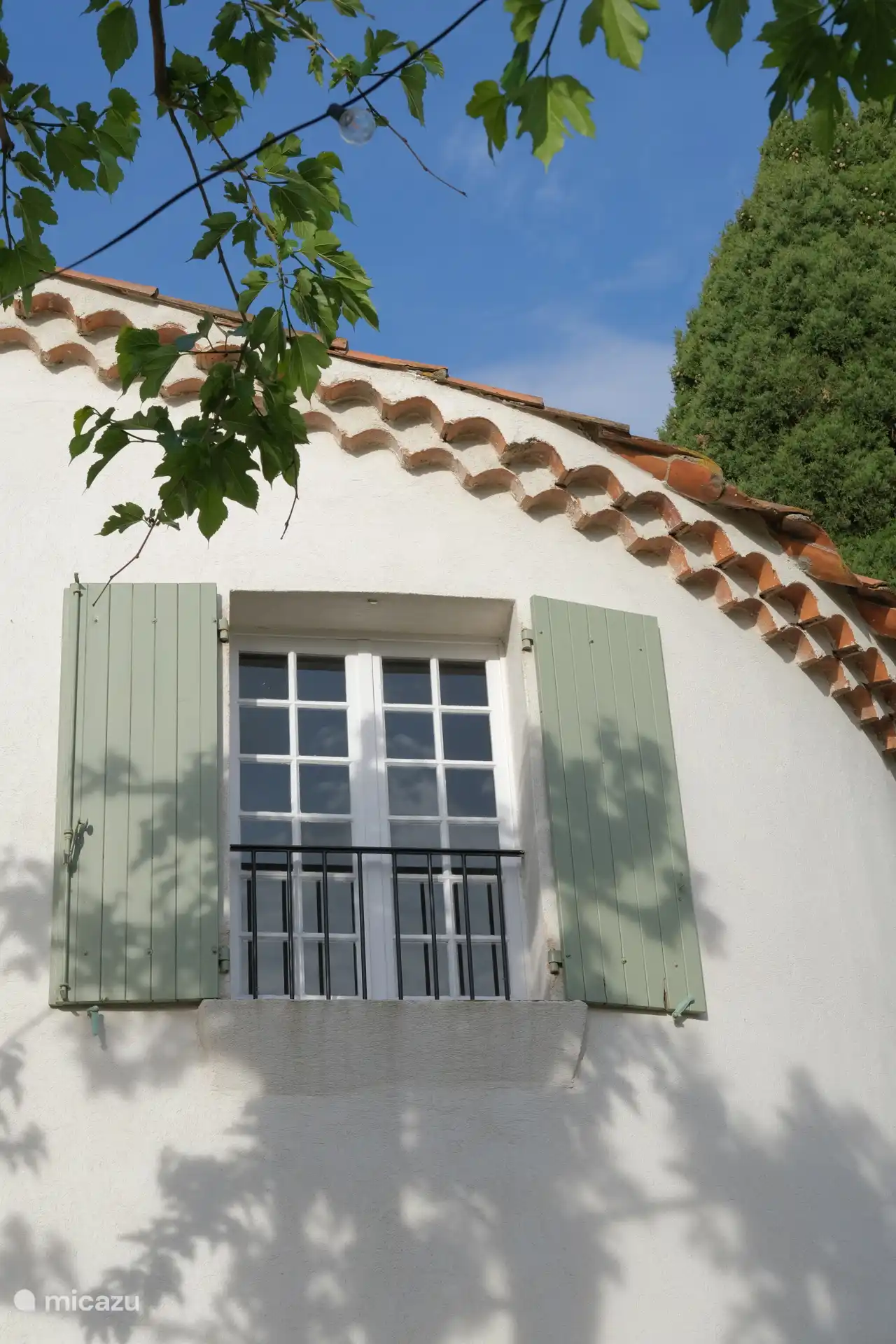 the house 
