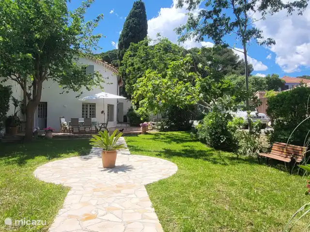 Location de Vacances France, Côte d'Azur, Sainte-Maxime, villa - Fruitier Villa au bord de la Mer jardin
