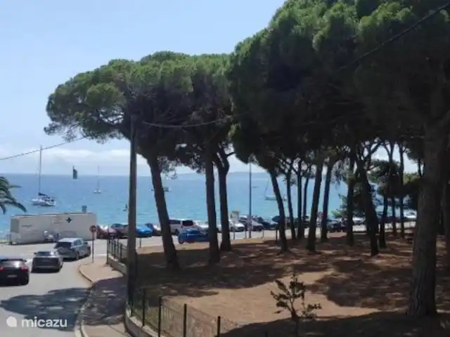 Location de Vacances France, Côte d'Azur, Sainte-Maxime, villa - Fruitier Villa au bord de la Mer Vue