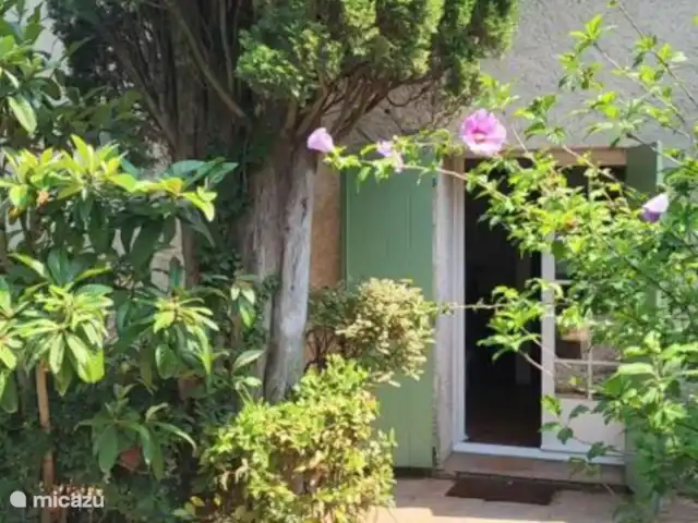 Location de Vacances France, Côte d'Azur, Sainte-Maxime, villa - Fruitier Villa au bord de la Mer Cour